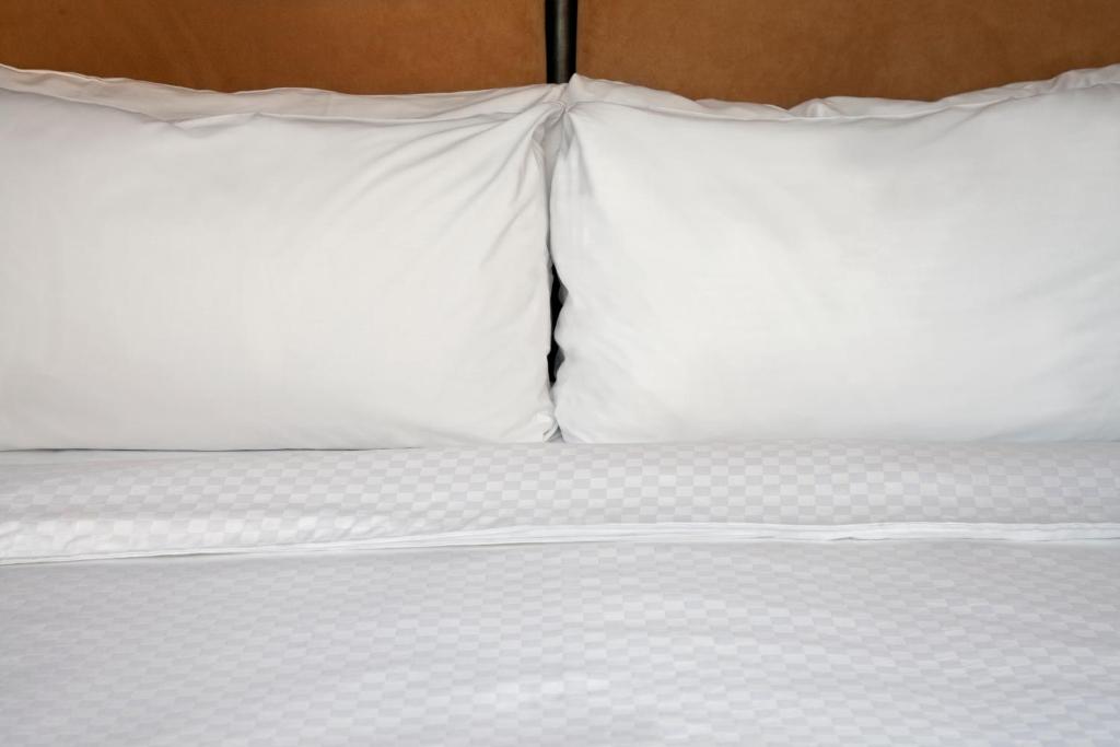 Four Points by Sheraton Virginia Beach Oceanfront image 13